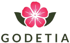 شعار Godetia Beauty
